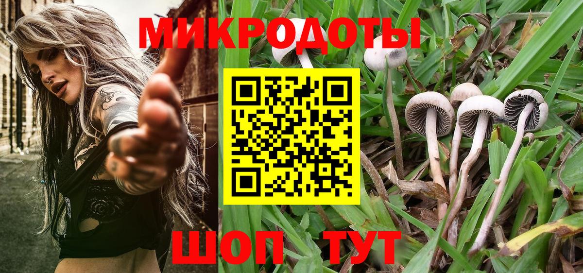Галлюциногенные грибы мухоморы Тимашёвск