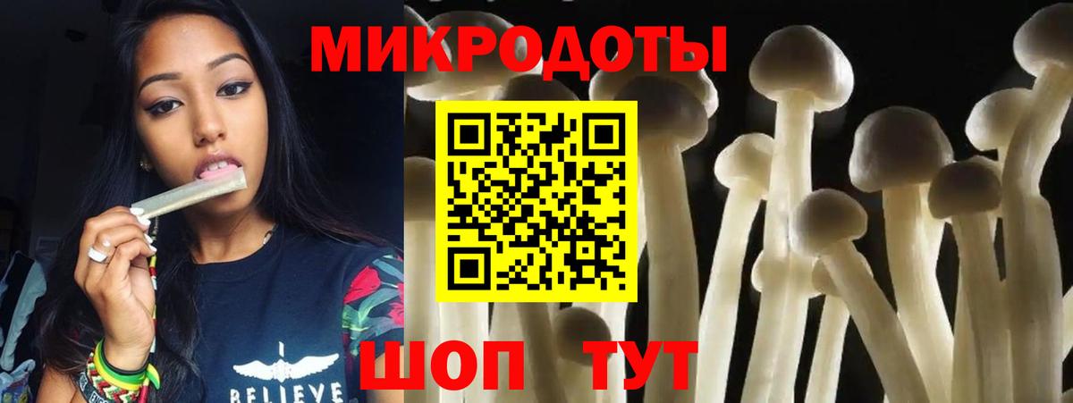 Псилоцибиновые грибы Psilocybine cubensis  Галлюциногенные грибы мицелий  Вход с VPN  Тимашёвск 